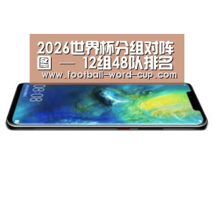 华为无线快充手机