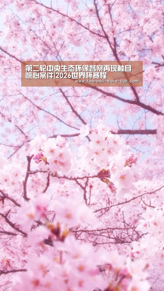 2026世界杯赛程